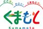 �缫�������£��ʪ ���缫�����������ȿʹԡˤΥ����ޡ���